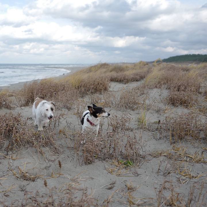 3d57ae61 30ff 4417 bd7c 498b9f0eb195 1545366112403