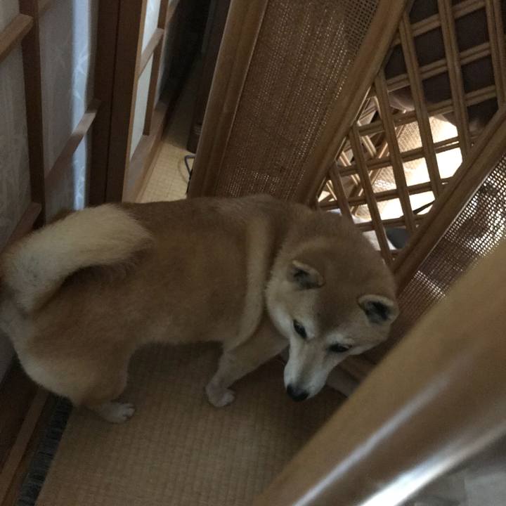 3d57bab2 c355 4747 bdb3 9257ec7a737a 1510489972614