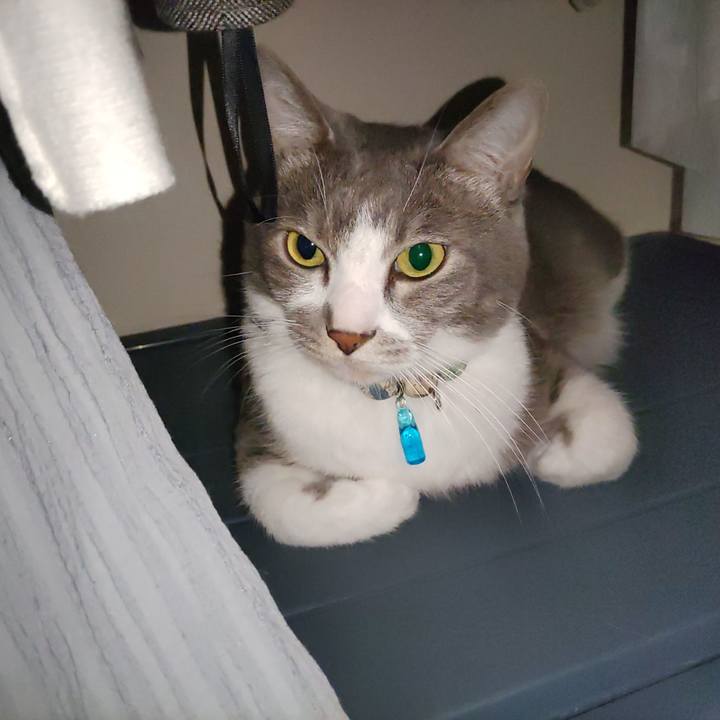 3d57c10c 8c2c 4d22 94d6 b3fececd64ce 1699323939835