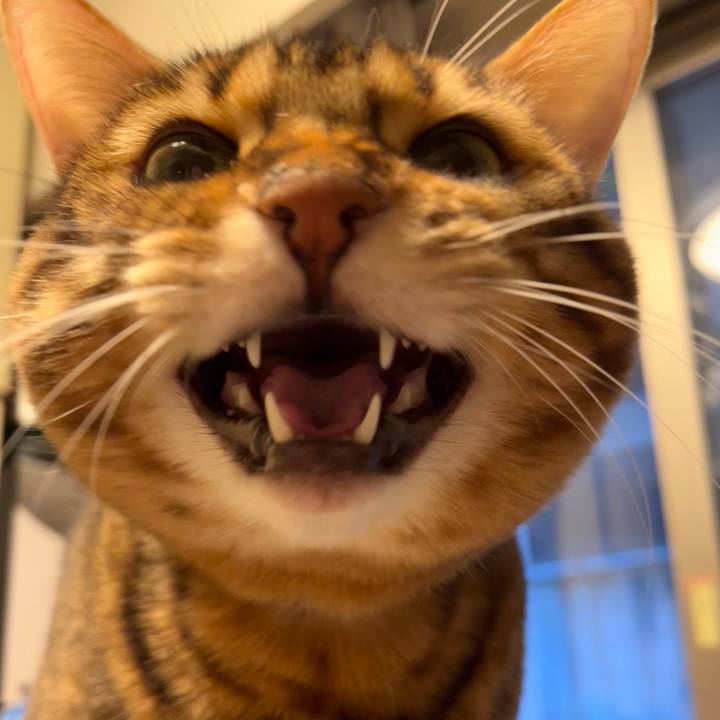 3d57ccd1 d772 489f bec2 46a9e32d147a 1638069364757