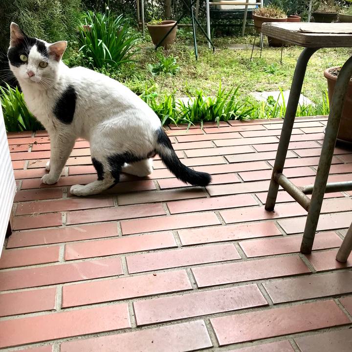 3d57d3e8 3728 4b55 923e 1a3b2d554185 1521898504319