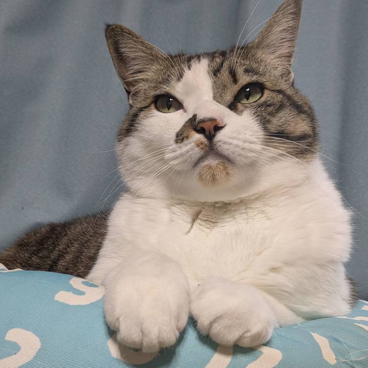 3d57dbab 3234 4526 909d d0d572a1c420 1742455997405