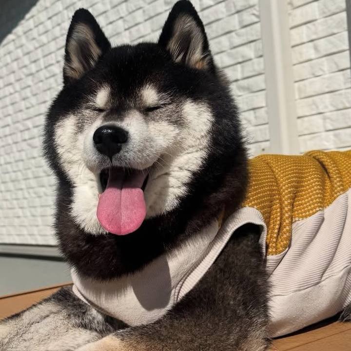 3d57e2e4 667b 43bd 84a8 27cd74550b17 1741906343140