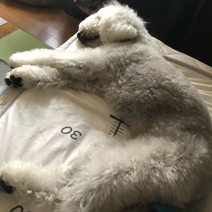 3d57e5b4 cb2e 4a3c ac4f 1d76baa2a417 1621747019085