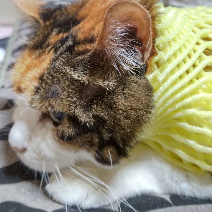 3d580ca7 d3ec 405d 8aca bf3cfa203183 1634550505561