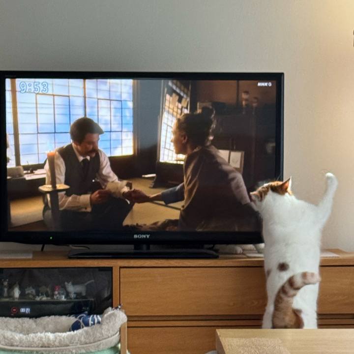 3d581ccd 9b16 4470 b2b7 2859f3ddb662 1767317514003