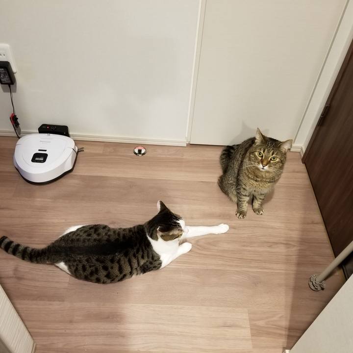 3d582ca6 268e 417c a1b6 e0aee9b26333 1623785555811