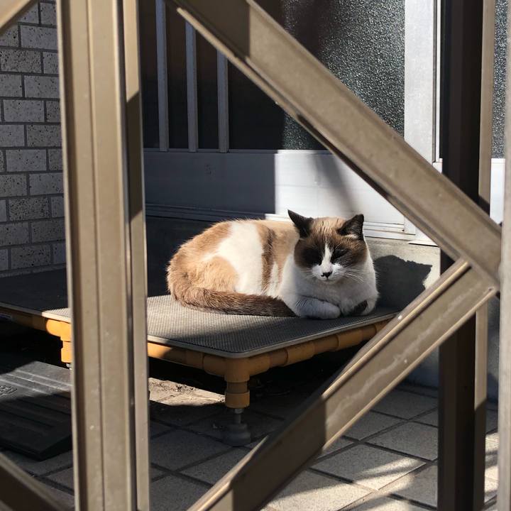 3d58406c c1b4 45e7 b03d 3b0f52294fb2 1610464884175