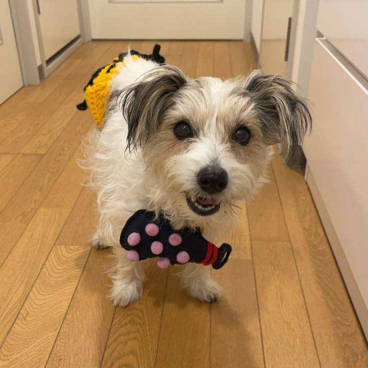 3d5897f8 57a8 407b a759 747a59d131af 1770116941867