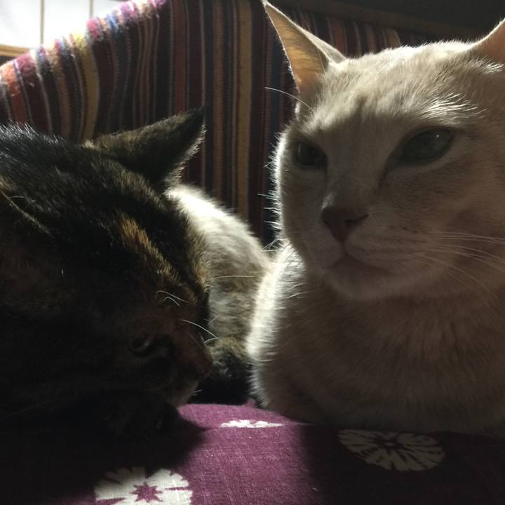 3d58f0e6 2548 4ecb b381 41321b731db0 1543148727600