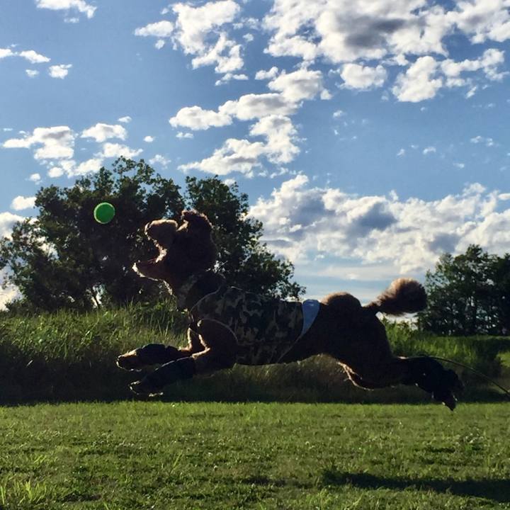 3d595287 43bf 42f1 abbf 39a317b0949a 1560696523782