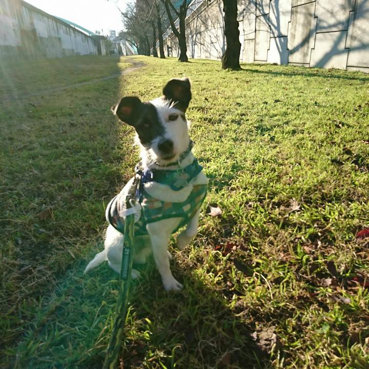 3d59955c 4440 46cc acc3 40bfc924127f 1512515095563