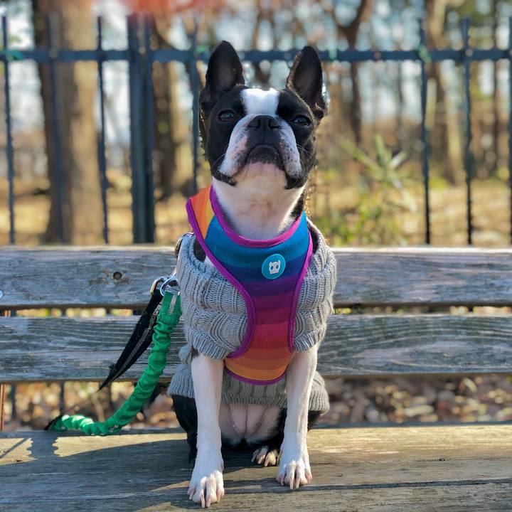 3d599ae0 5a20 46a8 92ea 36066f9aeee8 1609494298446