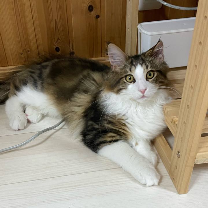 3d59e4c8 e255 43cf 9bec eaa2387e3a99 1638176161852