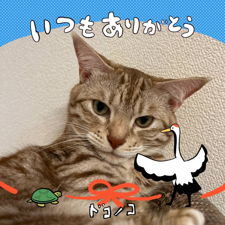 3d59e73d 63b3 405e ae41 0d313a51c25b 1726920312761