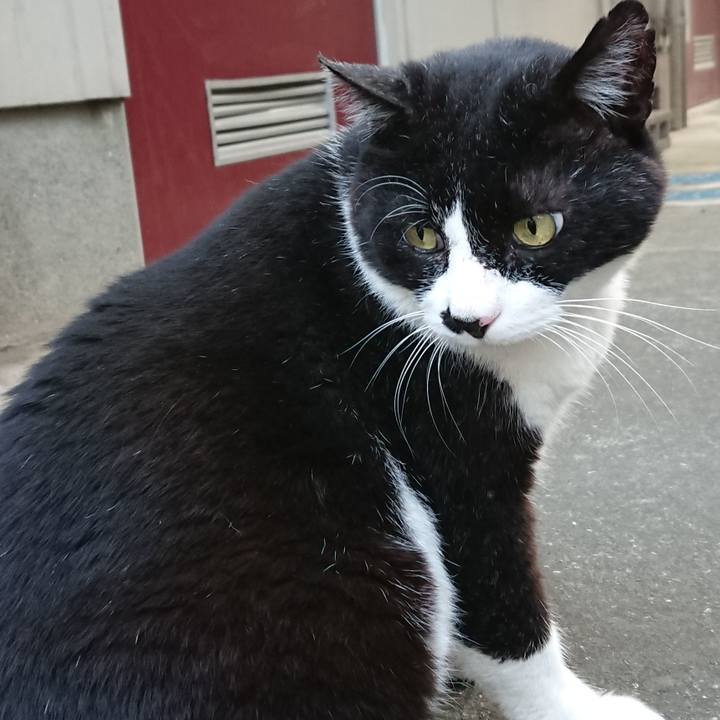 3d5a146f cc10 4116 a98a b1e4fa7994c9 1528532081838