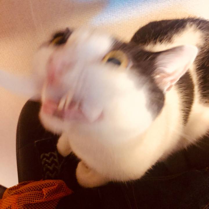 3d5a2568 c9a2 464a 954f 7c1e41fc3e11 1562151453278