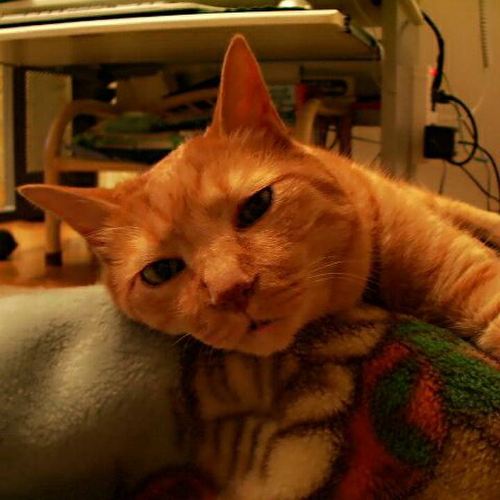 3d5a6ac6 9498 4a60 b95c 83569359906a 1511751403991