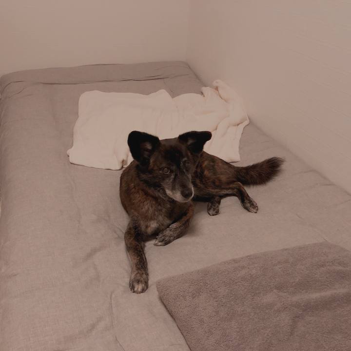 3d5aecc4 fb6b 47c2 b4c5 3ee22c8ef54b 1625066143920