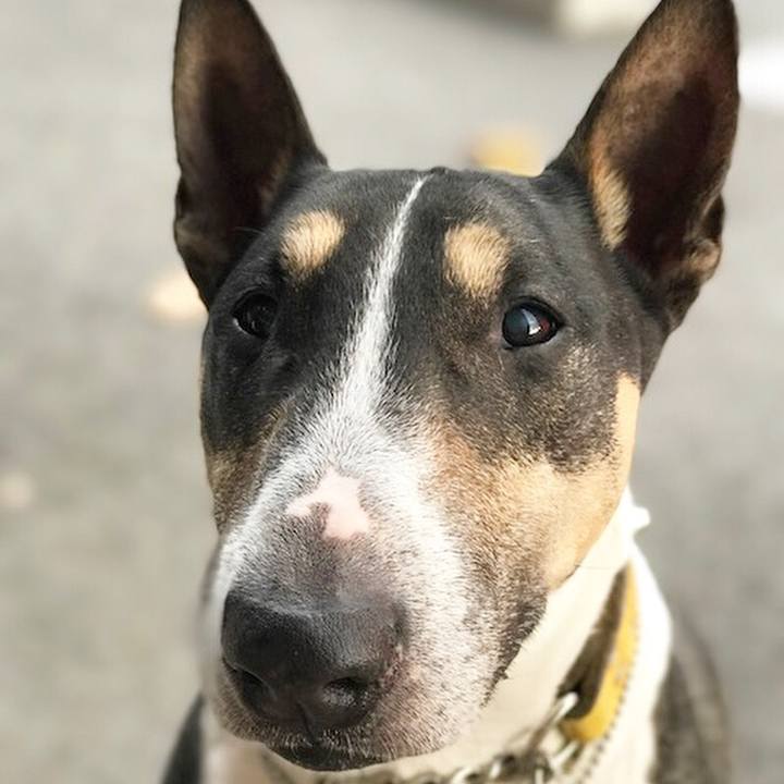 3d5b035d a221 4c0d 9868 0b81b968a2d8 1510385648628