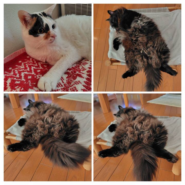 3d5b0881 e43b 4ef5 8184 6b00118ecc4f 1735859616890