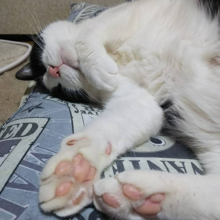 3d5b0ea6 f902 4d3c 9817 f95d784508a3 1530481600784