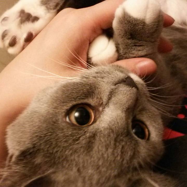 3d5b2357 96c7 4af9 a655 1405972af2b7 1540613965755