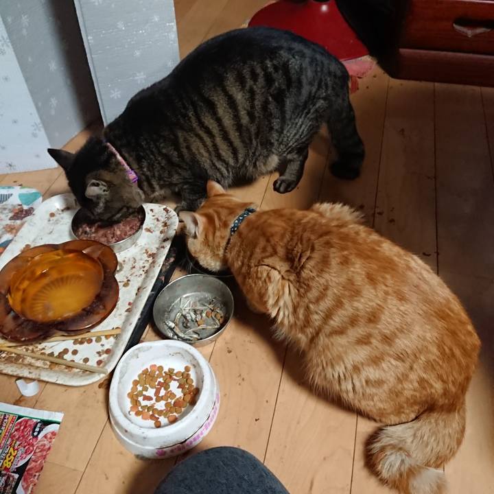 3d5b2aa7 feb3 4678 9e12 5e847f37895a 1648680987633