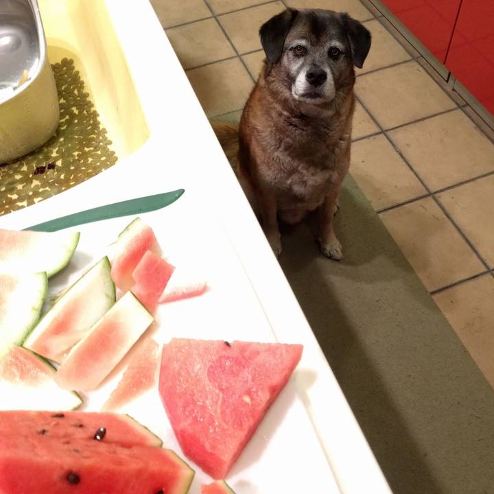 3d5b3fa9 733f 4f6b 9c97 106c499a3e3f 1728356368904