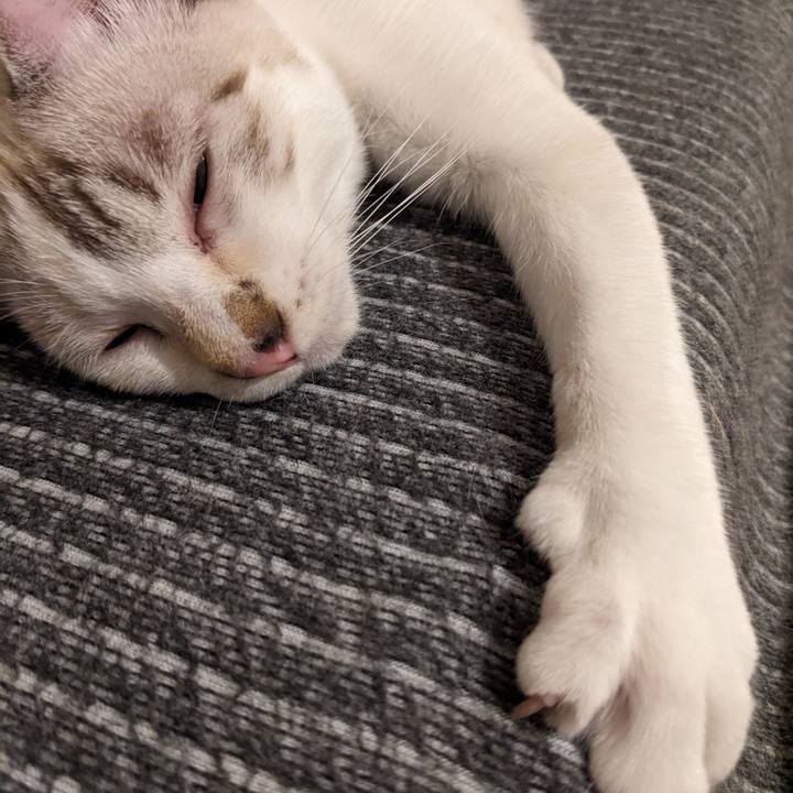 3d5b48da e039 4dcd b989 2297c8eef28d 1697361986587