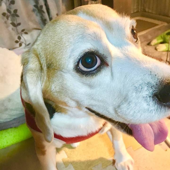 3d5b93d4 d41d 4d26 a542 17031772bd3b 1768049012464