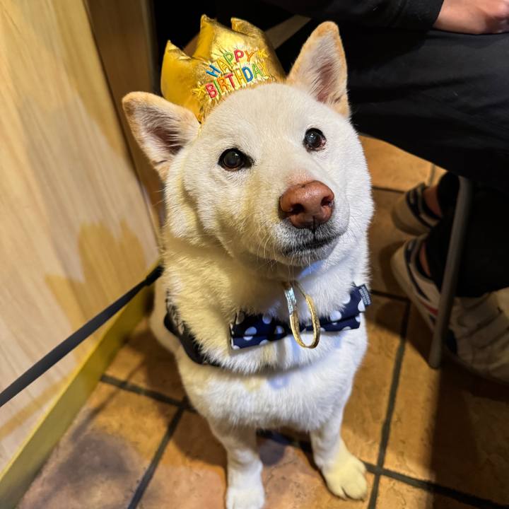 3d5ba197 a825 493b 8eb4 fc8c42bcb425 1743252874370