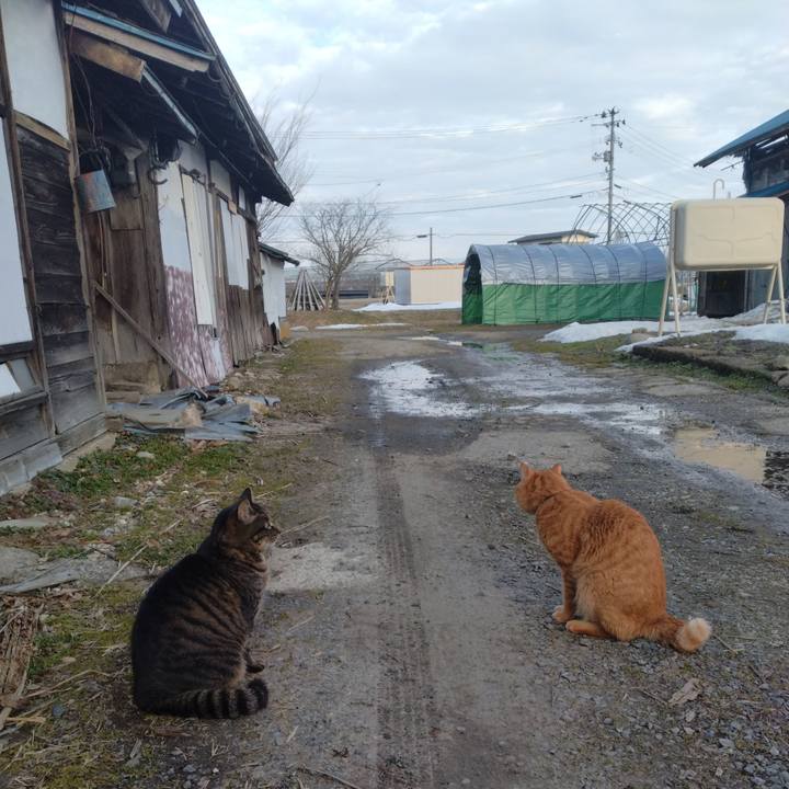 3d5bd5c9 6827 4777 85e1 92dd361b5177 1707982400979