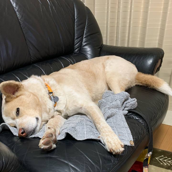 3d5be271 e431 495e bd7f bcb0e4963480 1578840261768