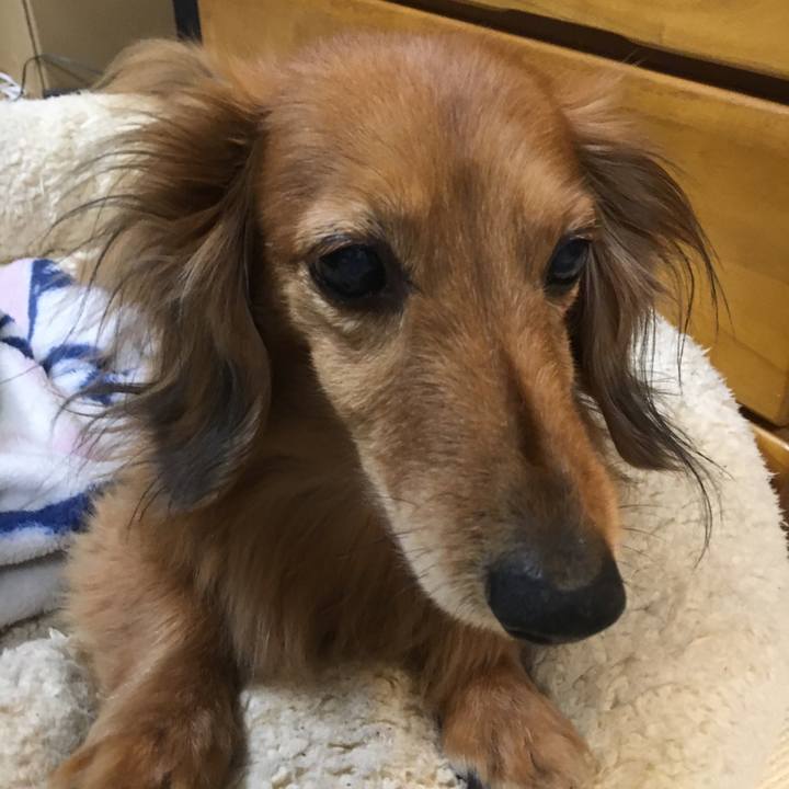 3d5c1511 f3f6 4058 bcc7 af8ad784e36b 1554553669432