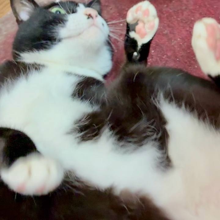 3d5c18fe 2e29 4f4a ad1c ead1d108db71 1751343559486