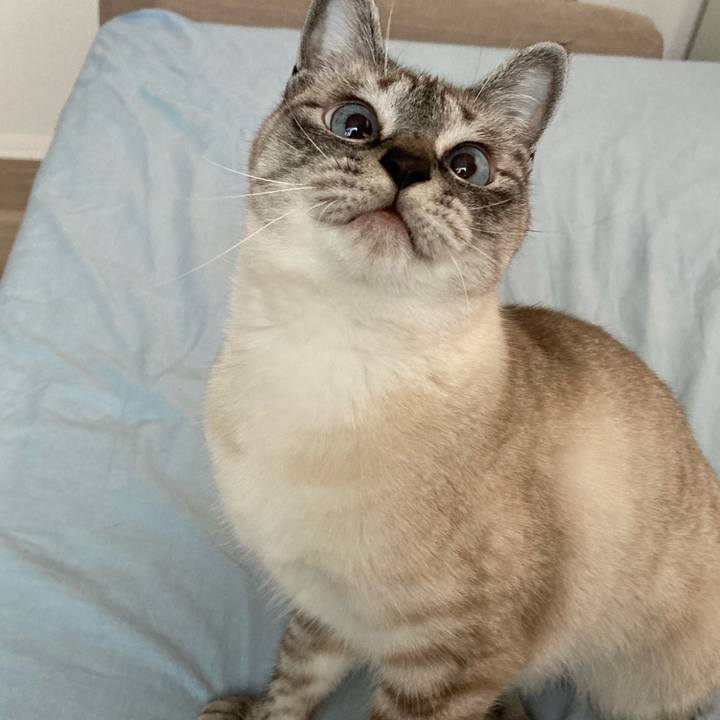 3d5c1ca2 ad61 417b 8e26 18fb1e35080a 1624233547063