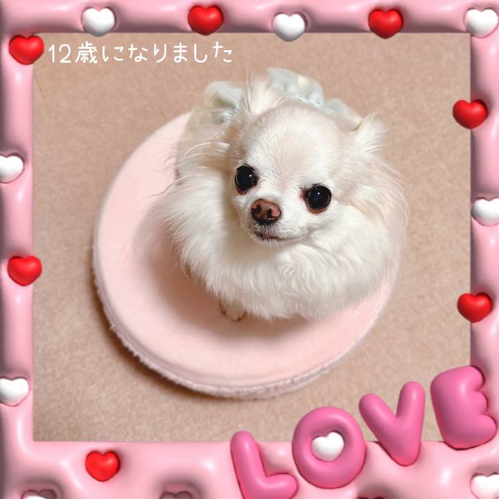 3d5c3cda 445f 43c3 a646 754d56ccf07e 1695589951166