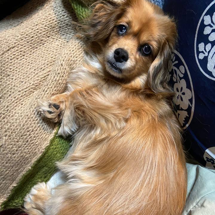 3d5c6881 419d 4f88 81c4 d0f260dd06e1 1670968209233