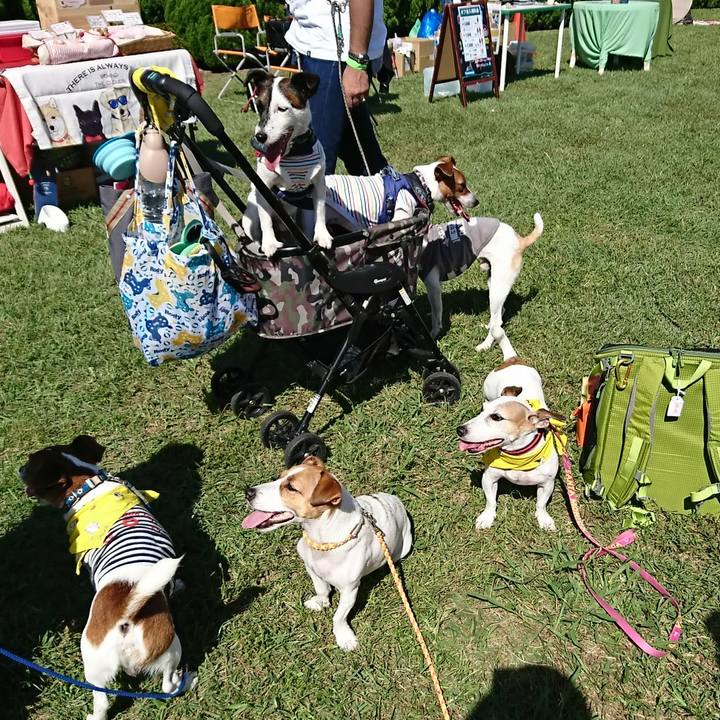 3d5c79ae 7a00 452f bf42 ee9f64d684d7 1538899093506