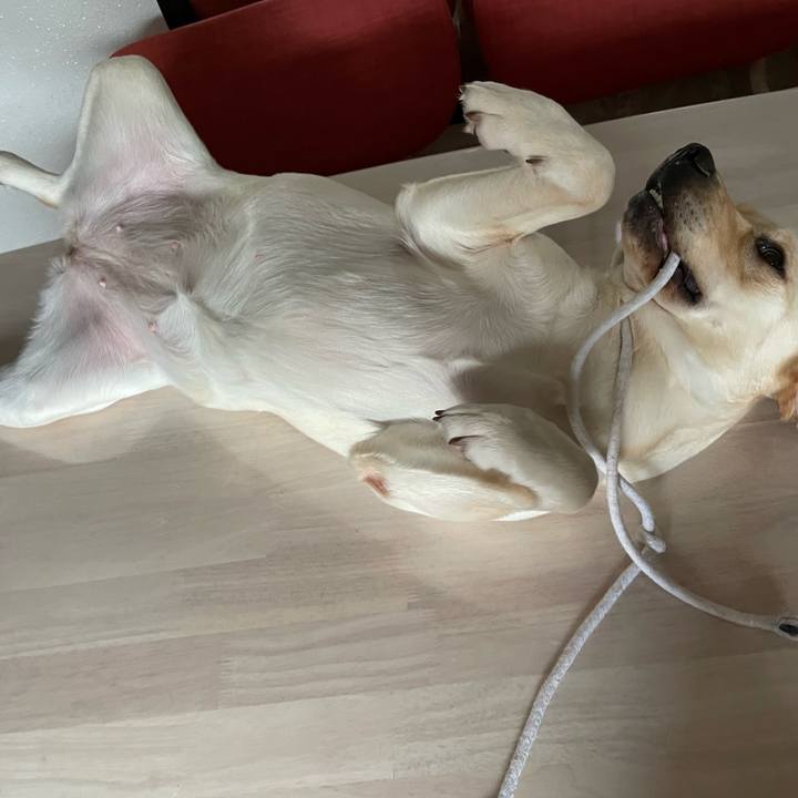 3d5c7d7c d47d 4dc5 8057 dfd63c64a970 1660095668424