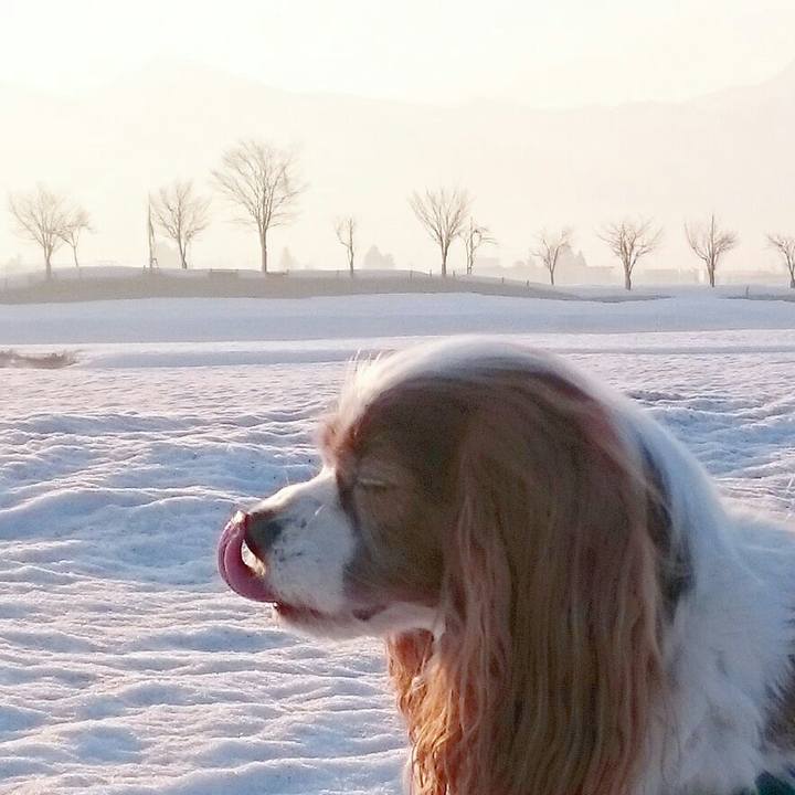 3d5c875d 8f7e 43a3 8fe6 31e327ecb3cd 1522022824107