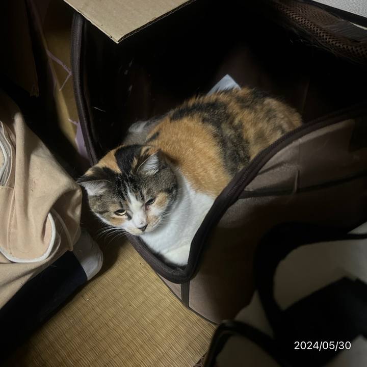 3d5c96f6 6108 4f31 ac22 8a70b386085c 1717023479360