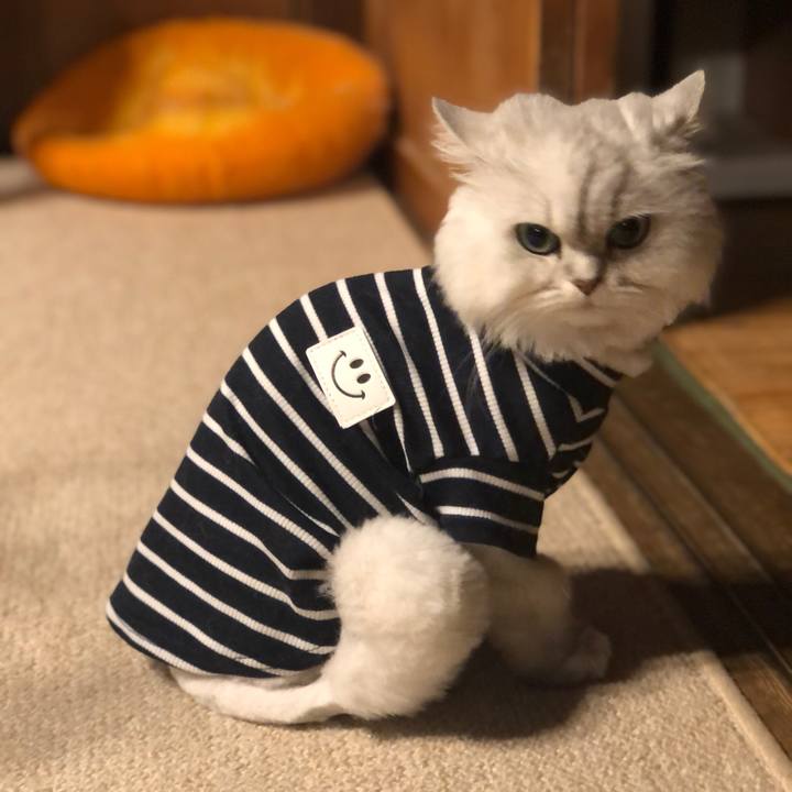 3d5c9d21 ef6d 4438 a5a5 226f04fff0df 1589012001888