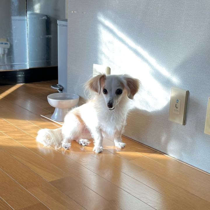 3d5caca1 b281 47ba b790 52bcf7686dcf 1733297947095