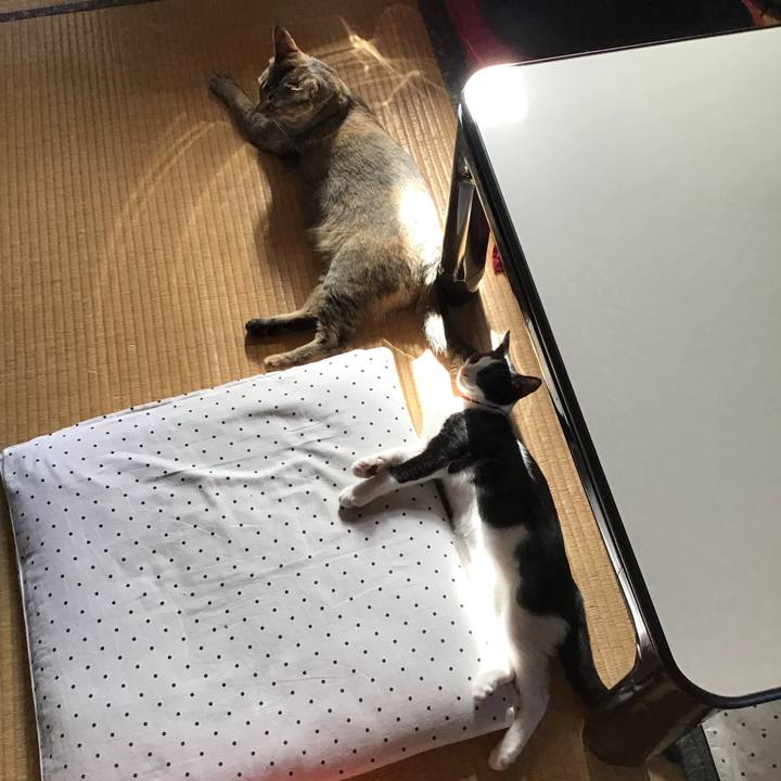 3d5cd4d4 733e 43c0 8cb4 1106f93f22f7 1628118415704