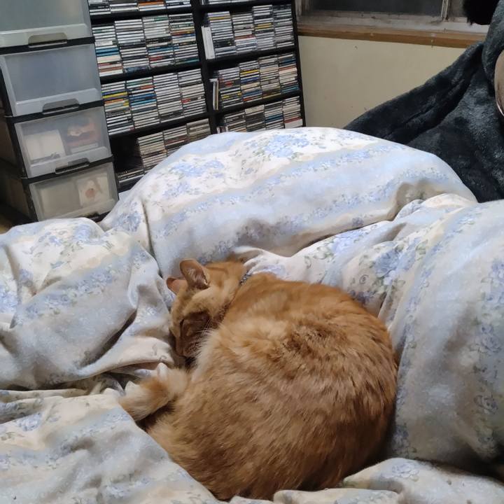 3d5ce79f 83c7 4172 b695 8c7abb6c953d 1666613764762