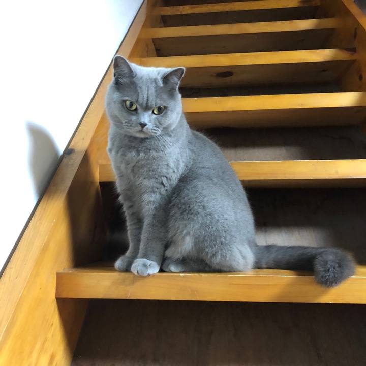 3d5cf368 c112 4d41 85fd 6a9b85e06854 1553037360154