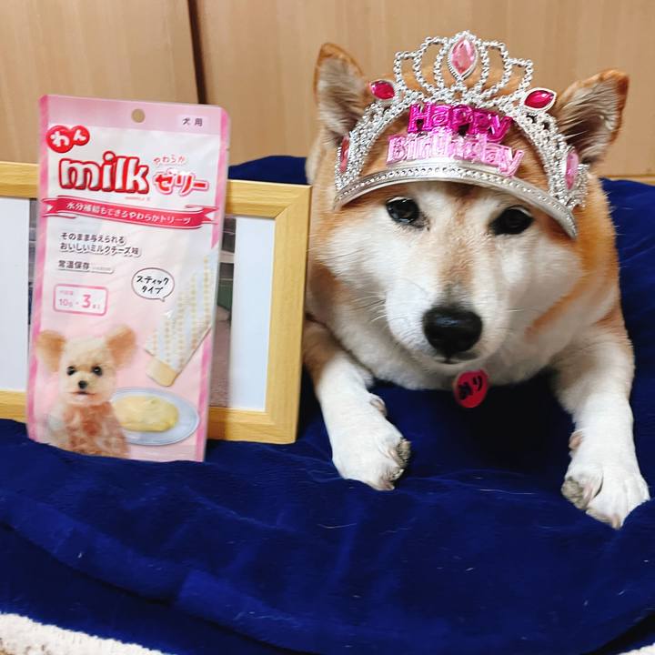 3d5d015f a458 494a bba3 fc24ebfddac8 1699668983617