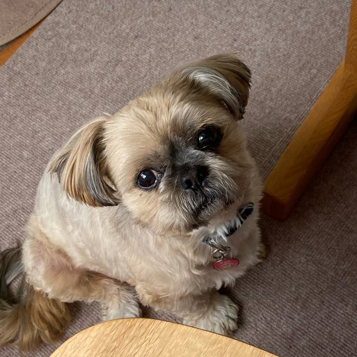 3d5d0354 e250 4071 90dd 6e4bb6acdf02 1584922514233